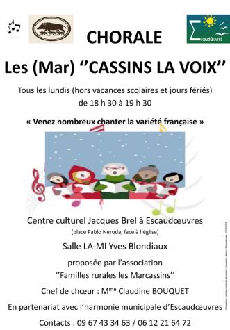Chorale Les (Mar)cassins la voix