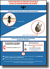 Procédure de signalement des nids de frelons asiatiques
